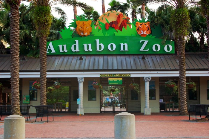 Audubon zoo