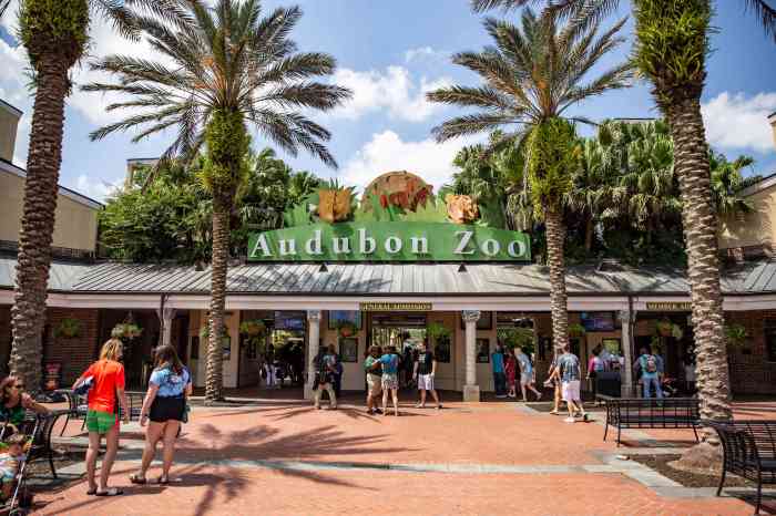 Zoo audubon orleans louisiana expedia tourism attraction au fountain choose board